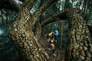 BIB: 
                            <button type="button" onclick="openModal(25393999)" class="btn btn-primary btn-sm float-right btn-popup" data-toggle="modal" data-target=".modal-high-quality">
                        <i class="fas fa-shopping-cart"></i> Add to Cart
                    </button>
                                            <button type="button" onclick="isThisMe(25393999, true)" class="btn btn-success btn-sm float-right btn-popup btn-isme hidden" data-toggle="tooltip" data-placement="bottom" title="นี่คือรูปของคุณใช่ไหม คลิกที่นี่เพื่อเอาเข้าอัลบั้ม">
                        <i class="fas fa-plus"></i> Add to album
                    </button>
                    <button type="button" onclick="isThisMe(25393999, false)" class="btn btn-warning btn-sm float-right btn-popup btn-isnotme hidden">
                        <i class="fas fa-ban"></i> Remove from album
                    </button>